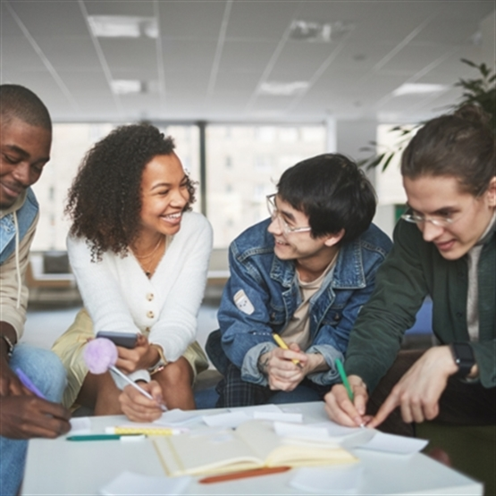High School - Higher Level + Tutor + IA Teacher Online