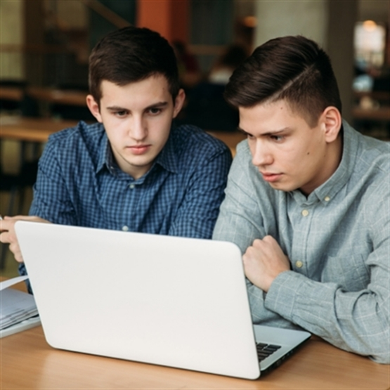 High School - Advanced Level + Tutor + IA Teacher Online